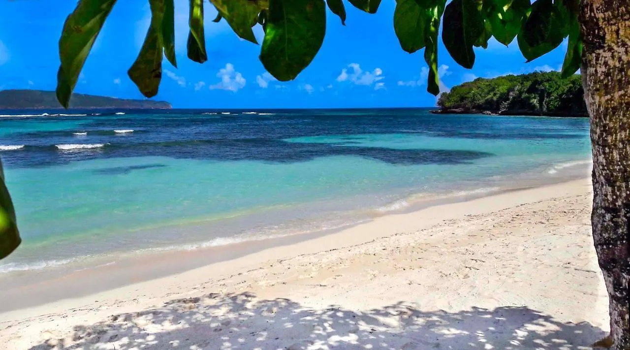 Villa Ibiscus Las Galeras 0*,  Dominikánská republika